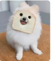 はっけよい