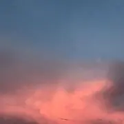 nの画像