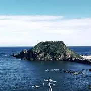 黒豹