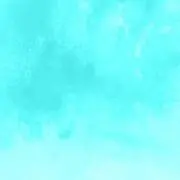 なずな(プロフ必読)の画像