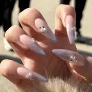 するめの画像