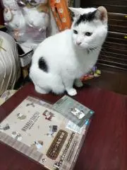 Denちゃん