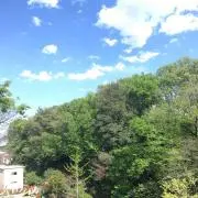 まきねったの画像