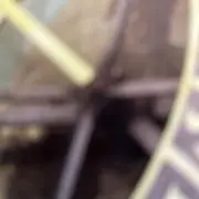 あいうえおの画像