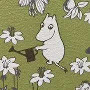 apricotの画像