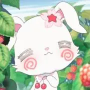 zの画像
