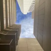 しぃーの画像