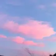 salon デッドストック