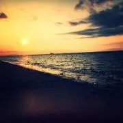 Sy☆29の画像