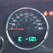 Woooody