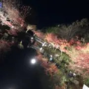 りか