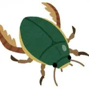 beetleの画像