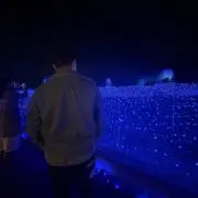 たけしのたけしわさわさの画像