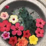 yamaa8244の画像