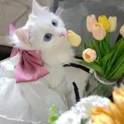 マリ