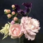すみれの画像