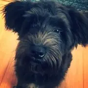 miki☻