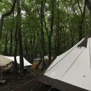 jataag⭐︎の画像