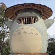 tomo
