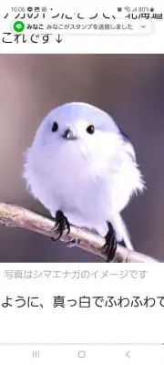 n-mamaの画像