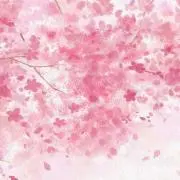 ちこ