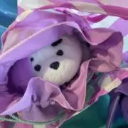 まいけるの画像
