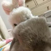 さとう