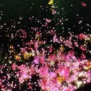 n.の画像