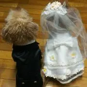 みき
