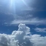 ありんこの画像