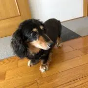たくろう