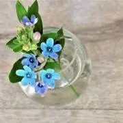 おうちだいすき。セール中＼(^o^)／