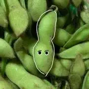 そらまめの画像