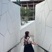 ふくちゃんの画像