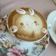 riccaの画像