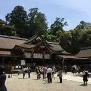 MIWAYAMAの画像