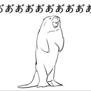 Vの画像