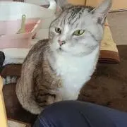 しばぁぁぁぁ@