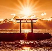 ライムの画像