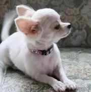 Yukiの画像