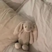 Yuの画像