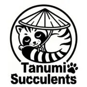tanumi♪2点以上でおまけありの画像