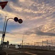 小麦の画像