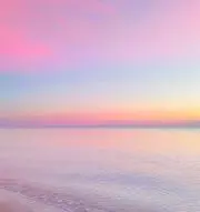 リハコの画像