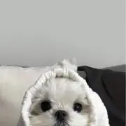 kanaの画像