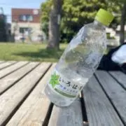 ちゃちゃ
