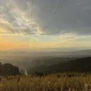 のなの画像