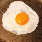 たまごの画像