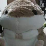 てんあび