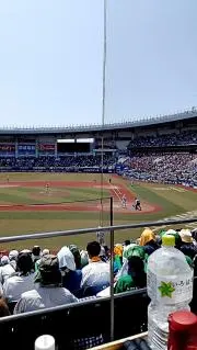 専大松戸の画像